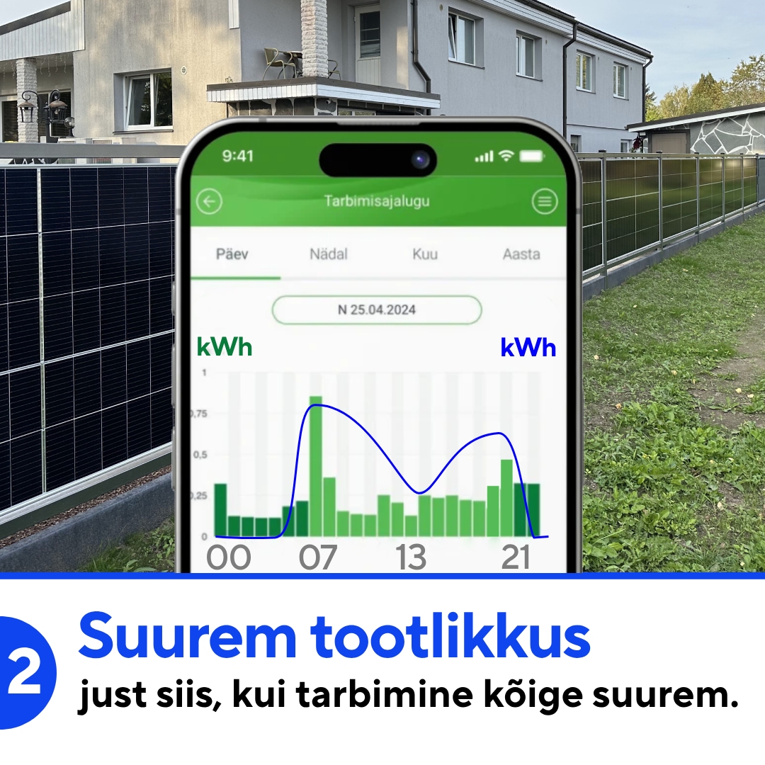 Bifacial päikesepaneelid